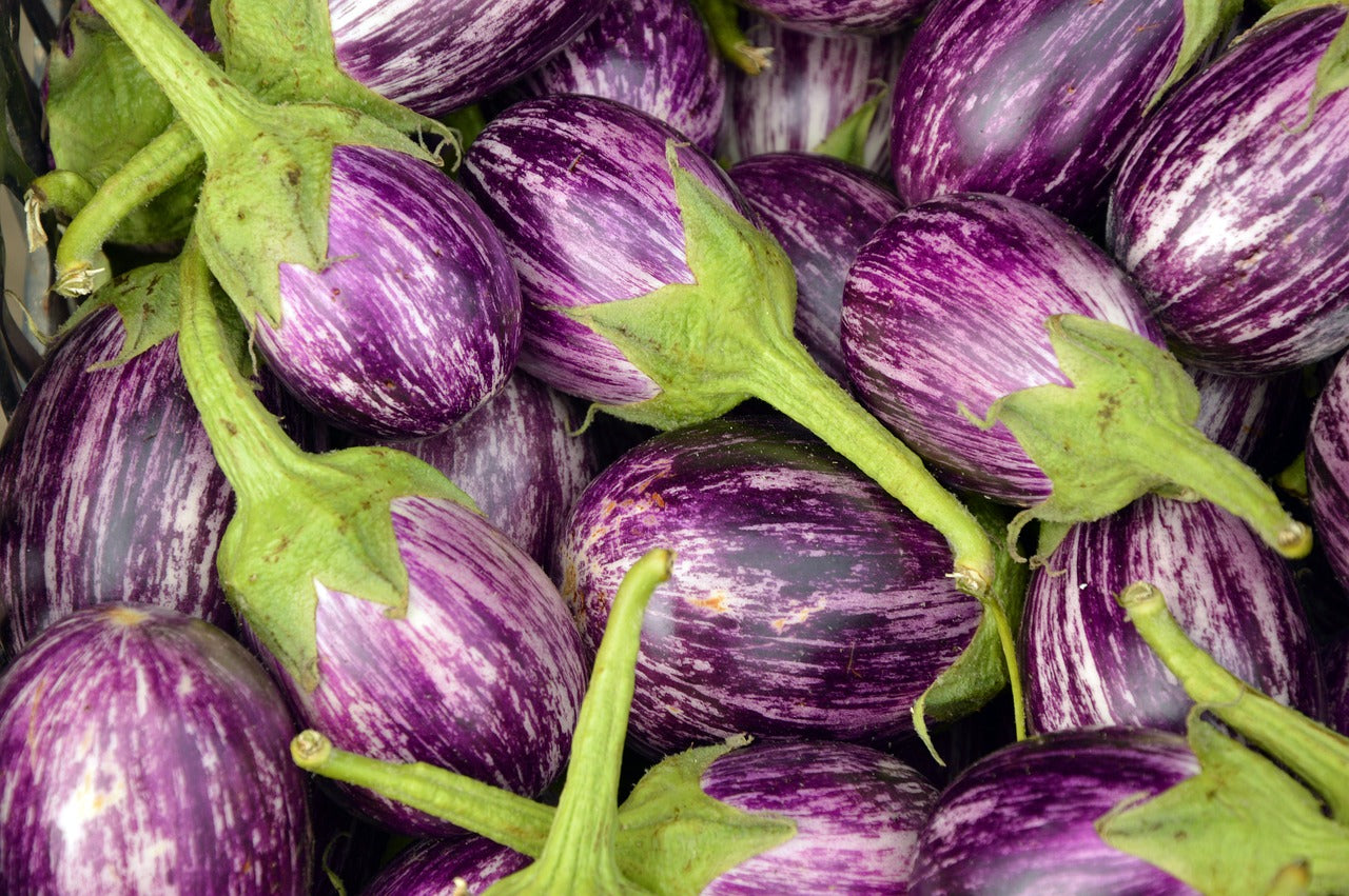 Brinjal