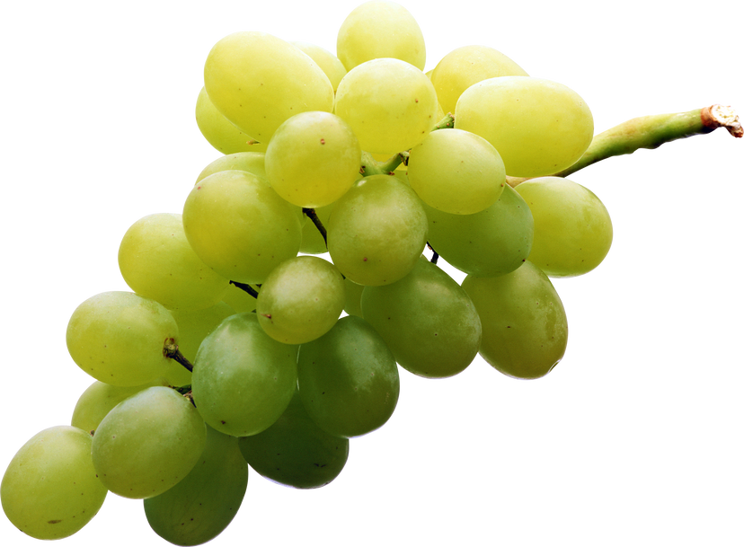 Grapes