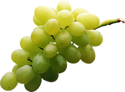 Grapes