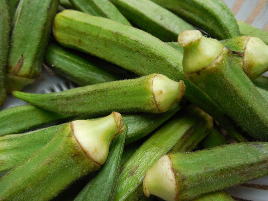 Lady's Finger (Okra)