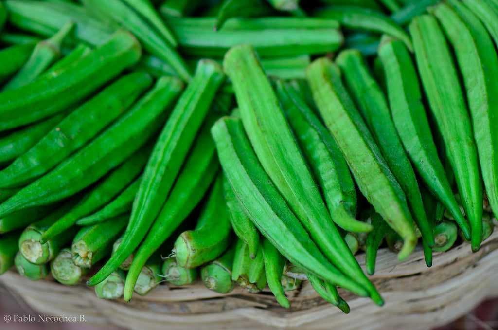 Lady's Finger (Okra)